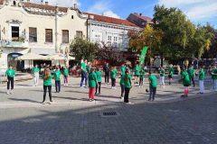 IMG-5a5f9e31db0e100d49276f615c6d73c2-V