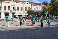 IMG-e9f16478a1cad043f6073bb4d13ffeb6-V