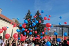 IMG-8291389cc56d9254ff358d5c3641d15a-V