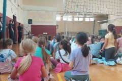 IMG-49742aad6fbe769593949b2076c8f9f2-V