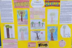 viber_image_2023-03-02_10-54-11-776