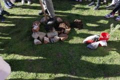 viber_image_2022-02-27_11-02-19-330