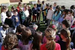 viber_image_2022-02-27_11-02-25-211