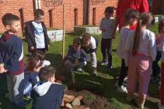 viber_image_2022-02-27_11-02-39-692