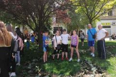 viber_image_2021-06-06_22-01-06c