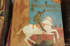 IMG-140404f8aa8f707e3e38ec80db05e1f1-V