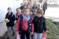 IMG_20181006_092458