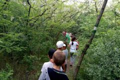 IMG_20180507_150233366