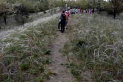 IMG_20180507_151654535