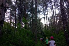 IMG_20180507_160035200